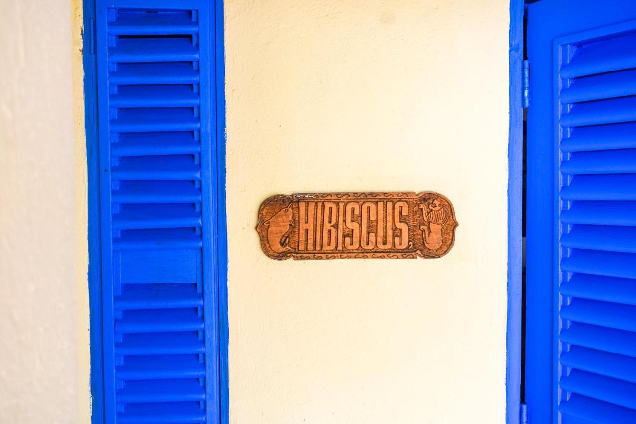 Hibiscus Beach House Pangani Exterior photo
