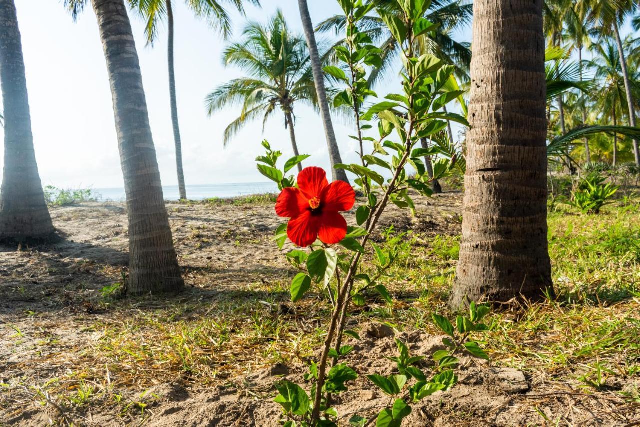 Hibiscus Beach House Pangani Exterior photo